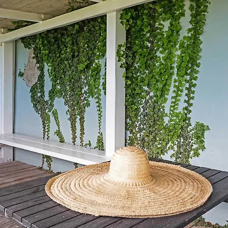 Martha _ferien_appartements 아파트 사스니츠